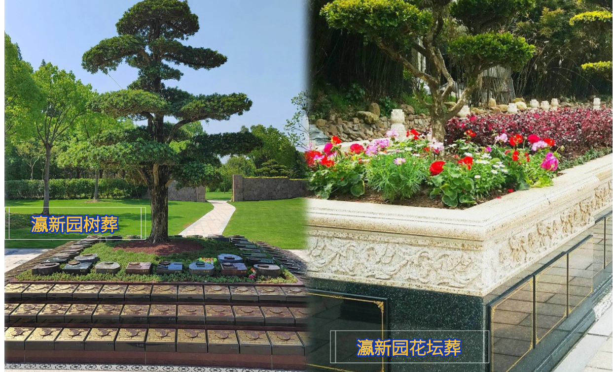 瀛新园树葬、花坛葬.png