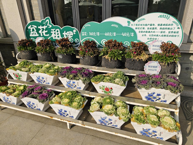 瀛新园花盆租赁.png