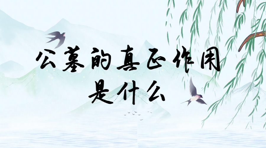上海墓地.png