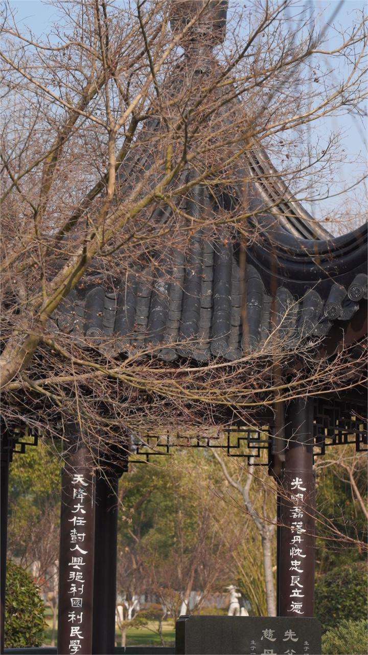 上海墓地.png