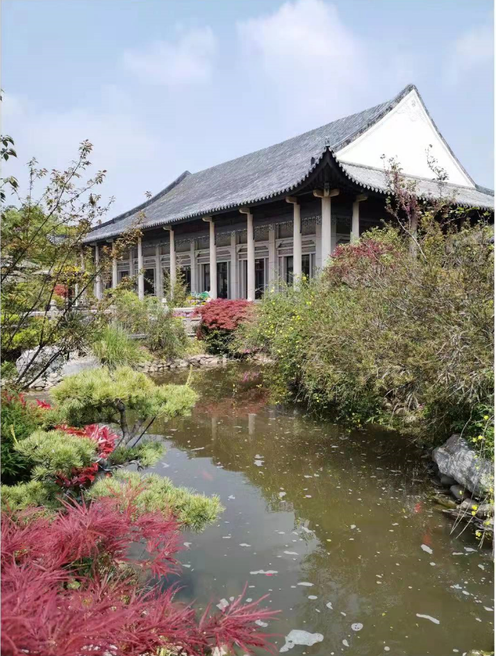 上海墓地.png