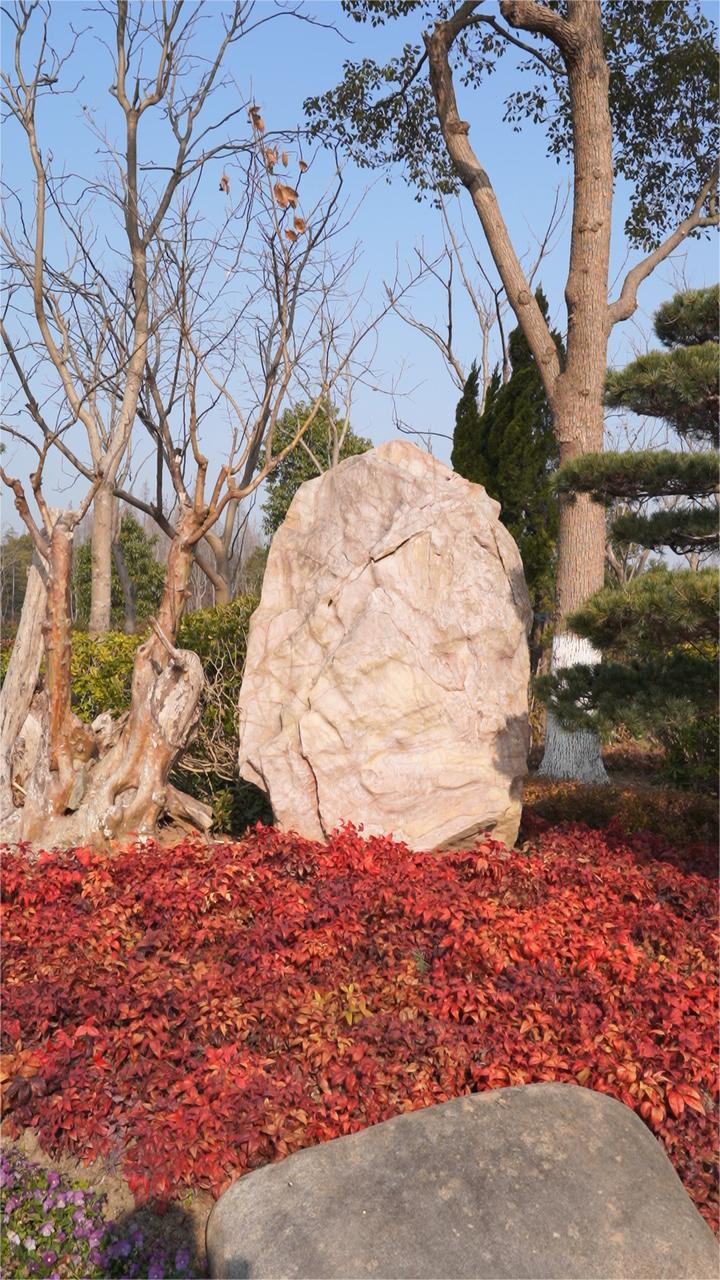 上海墓地.png