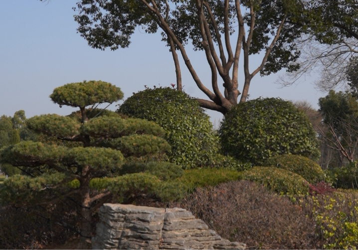 上海墓地.png