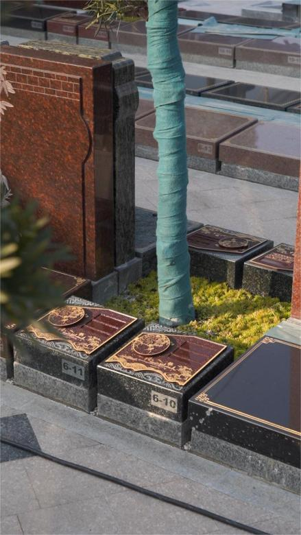 上海墓地.png