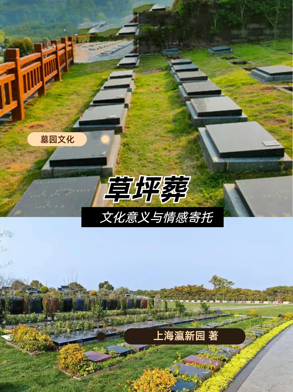 草坪葬.png