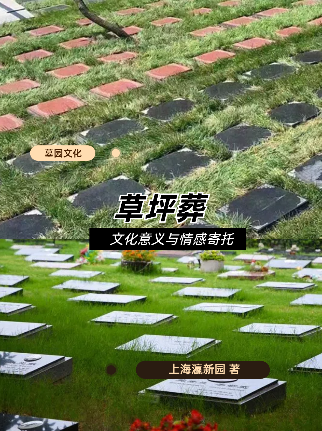 上海墓地.png