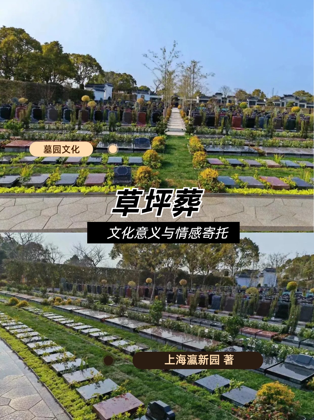上海瀛新园.png