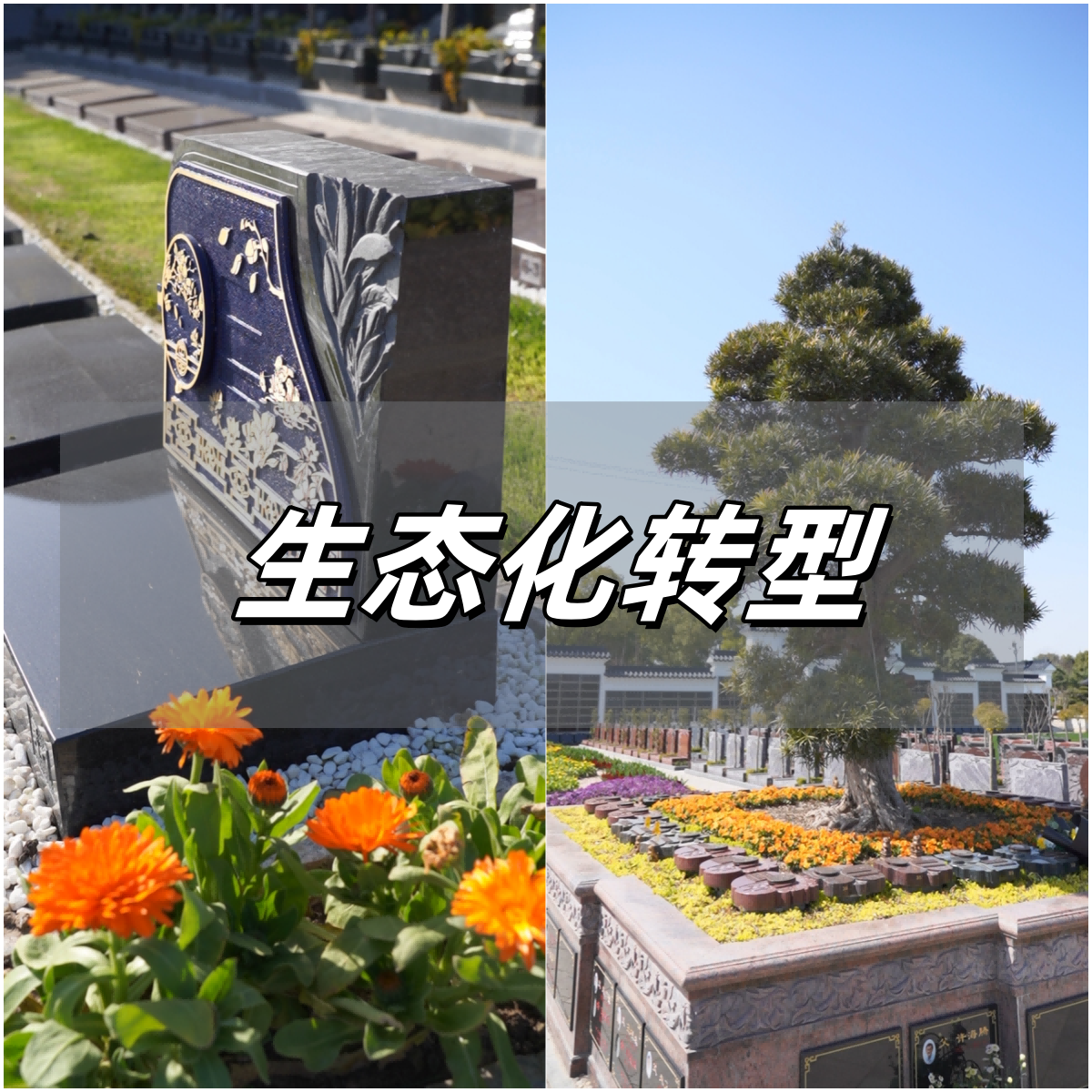 花坛葬.png