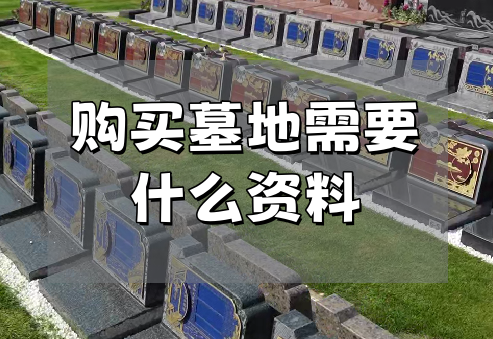 购买墓地材料.png