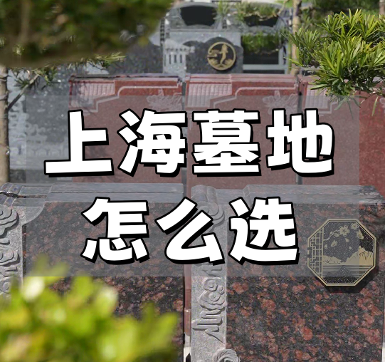 上海墓地.png