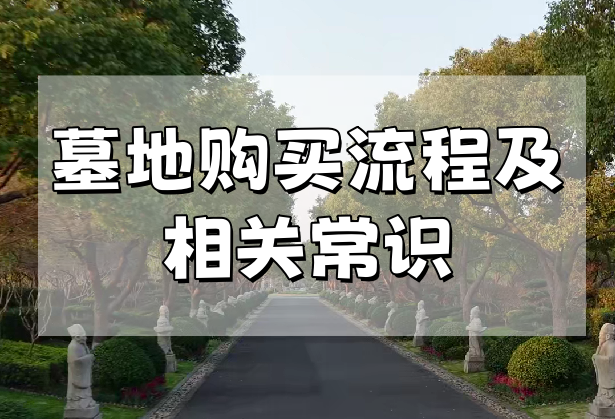墓地购买流程.png