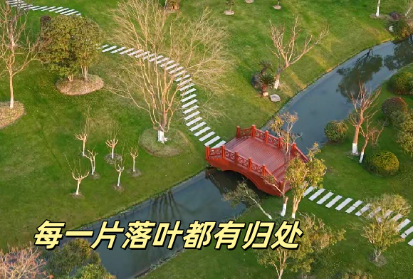 上海墓地.png