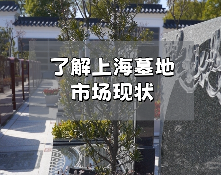 上海墓地.png