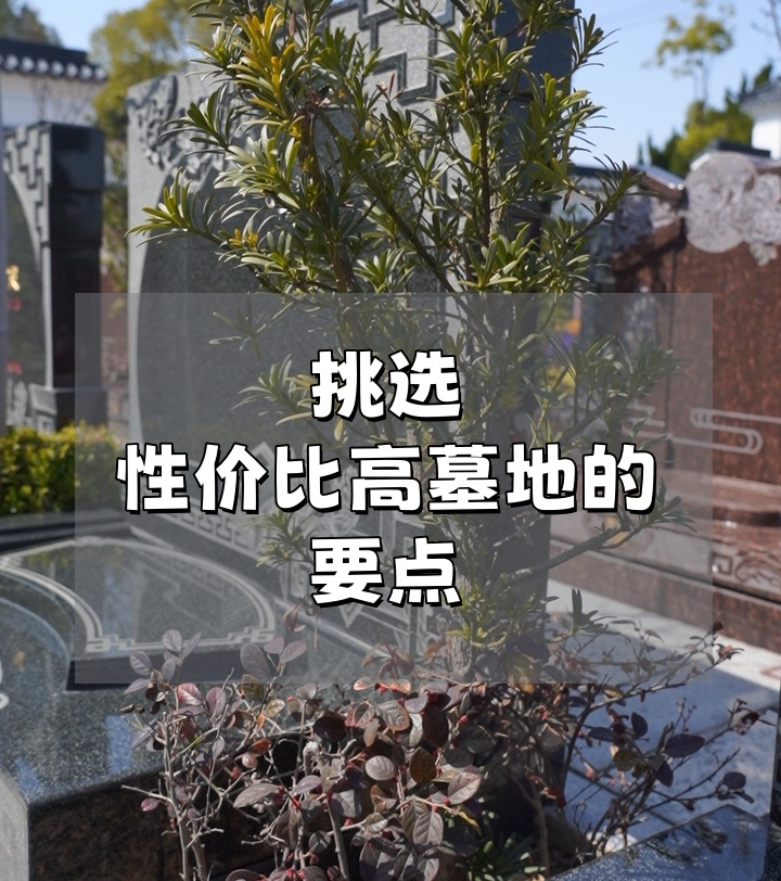 崇明墓地.png