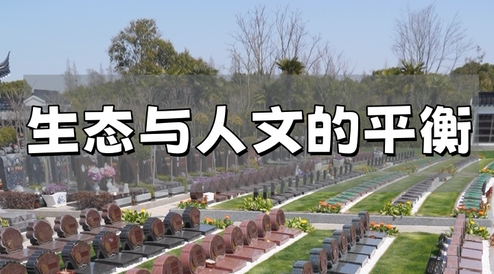 上海墓地.png