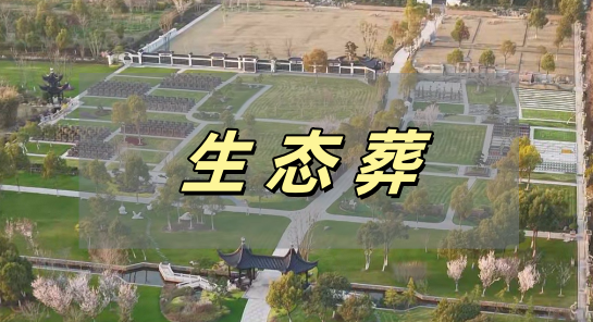 生态葬.png