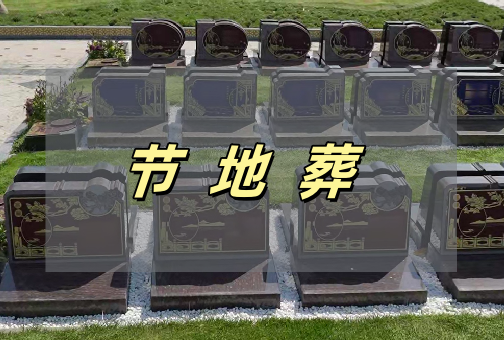 节地葬.png