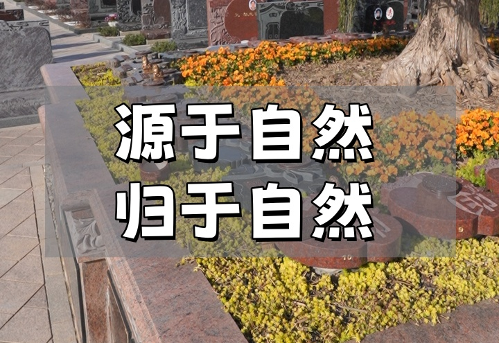 崇明墓地.png