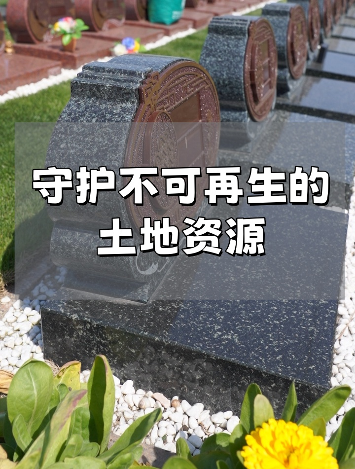 崇明墓地.png