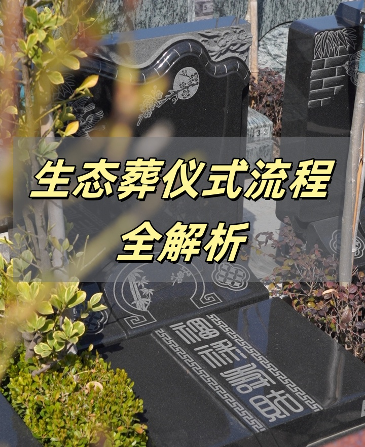 生态葬.png