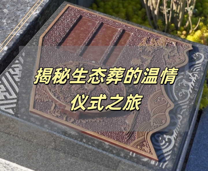 生态葬墓地.png