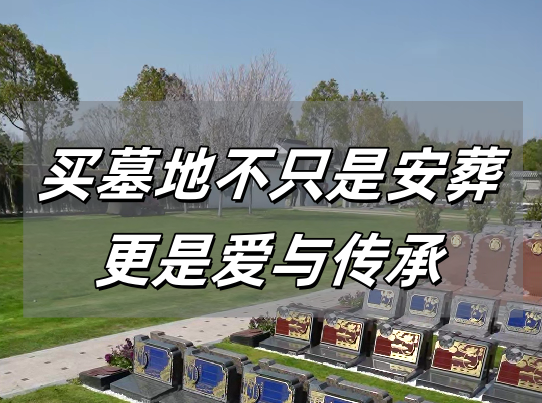 上海墓地.png