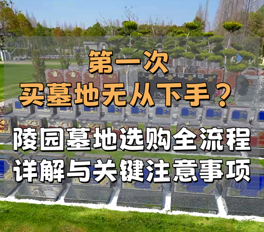上海公墓.png