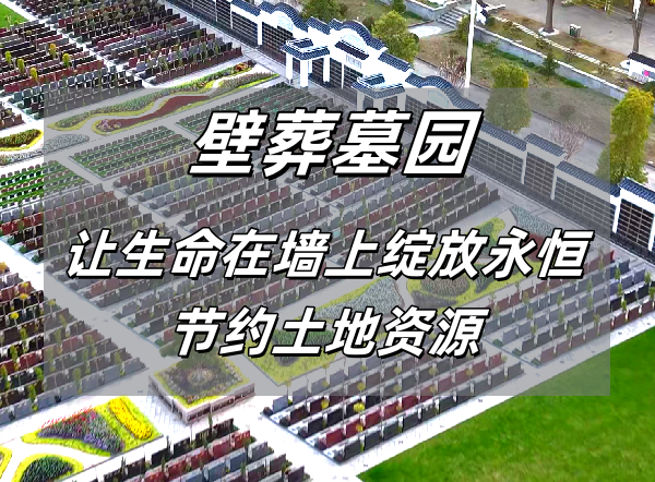 壁葬墓地.png
