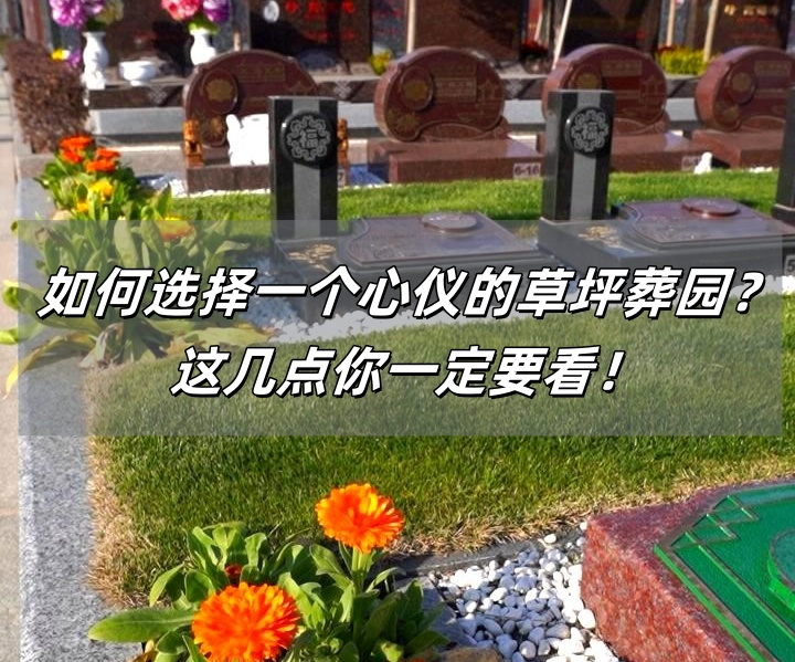 草坪葬.png