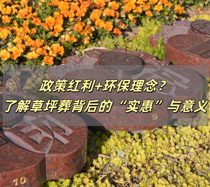 草坪葬.png