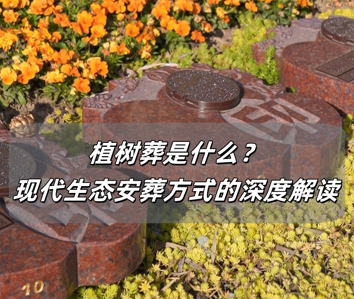 植树葬.png