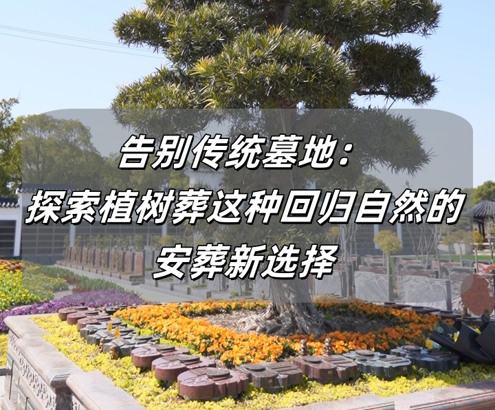 植树葬.png