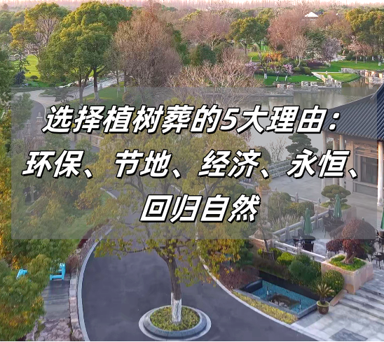 植树葬.png