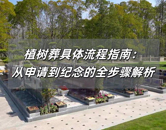 植树葬.png