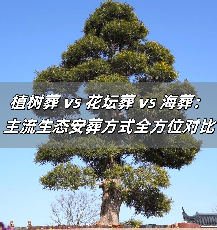 植树葬.png