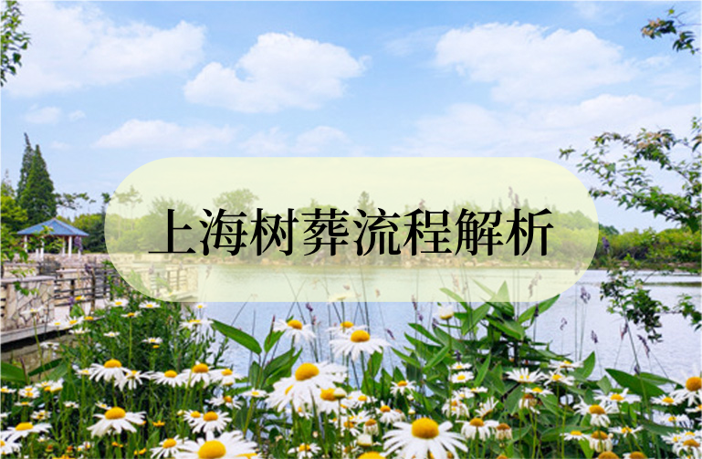 上海树葬流程.png