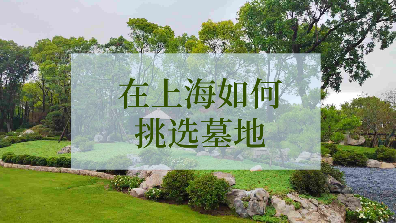 在上海如何挑选墓地.png