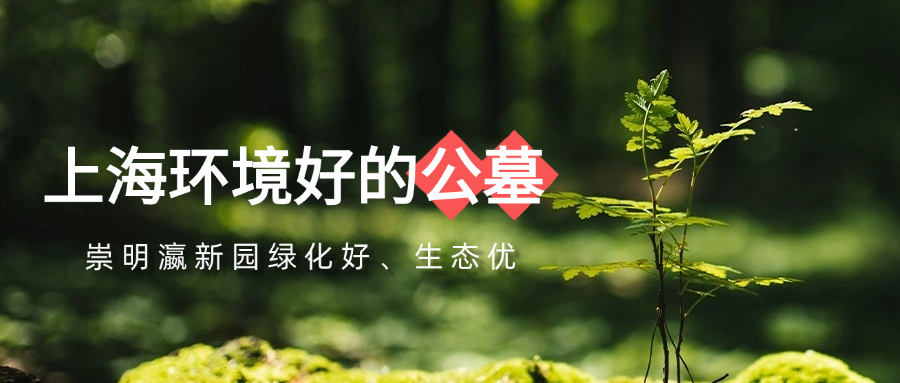 1755770876875901.png 上海环境好的公墓.png