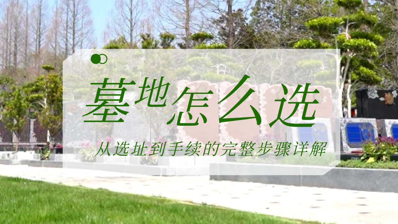 墓地选购.png
