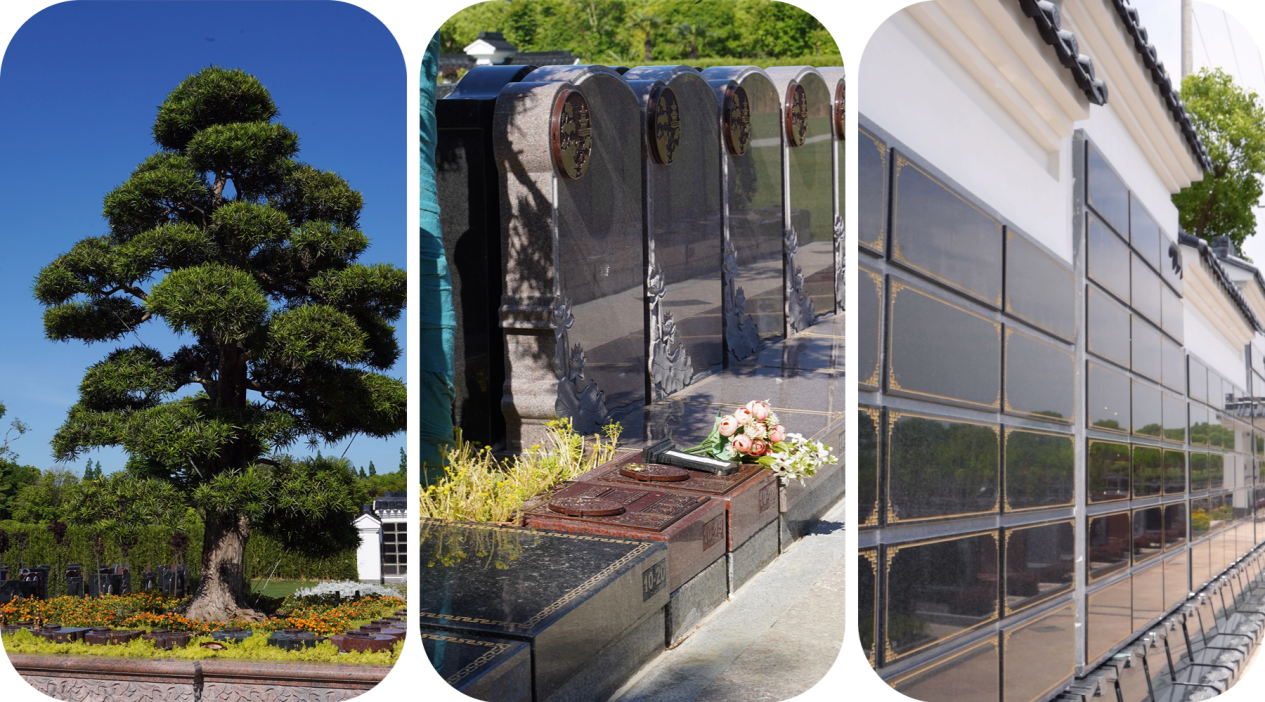 1760513869171238.png 上海环境好的公墓.png