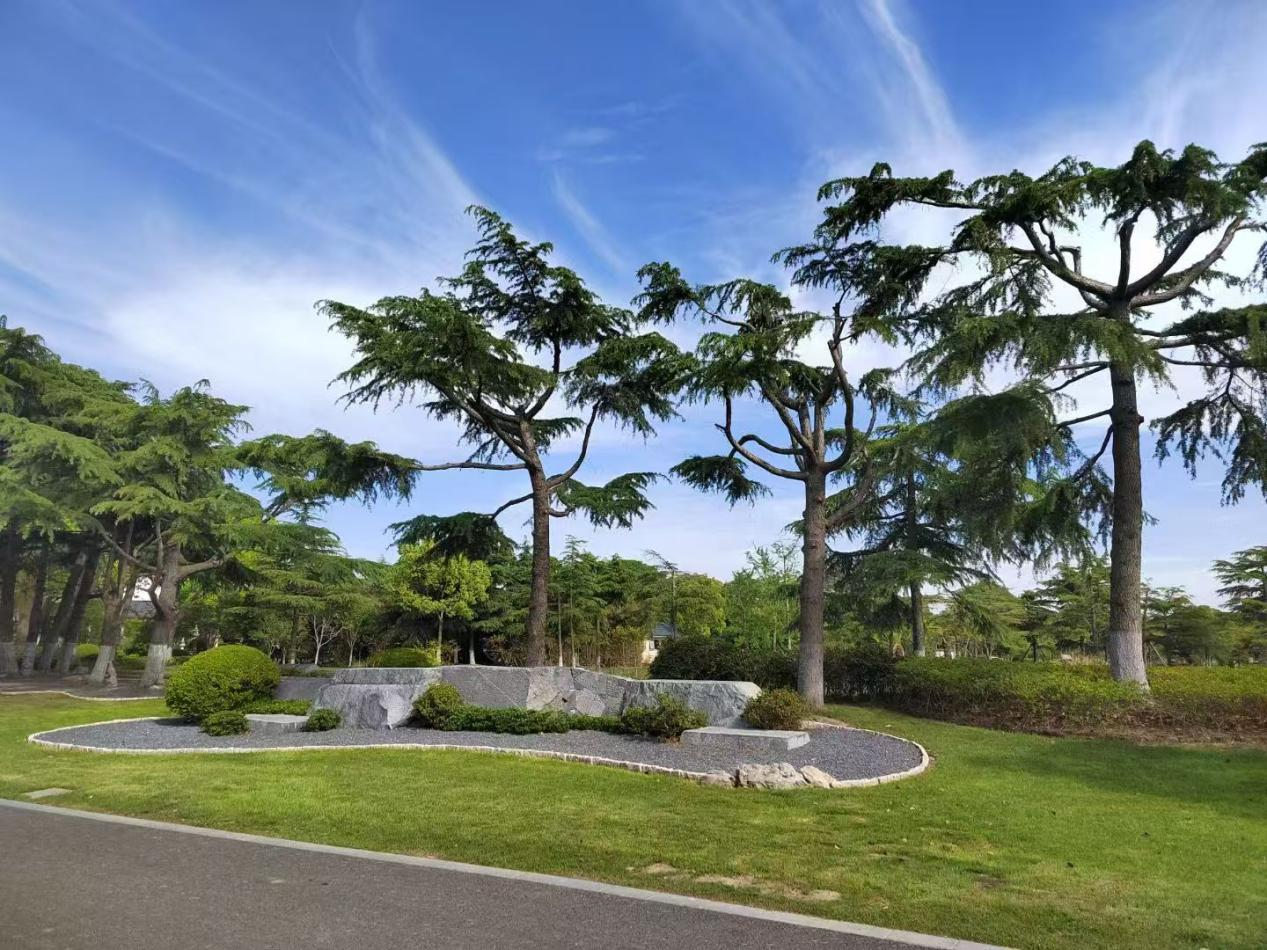 1760515539219757.png 上海瀛新园.png