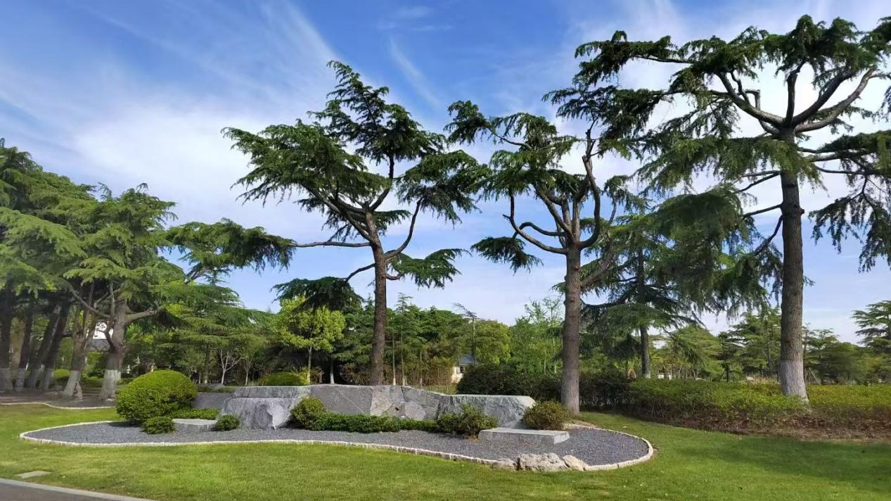 1763459498589340.png 墓地风水.png