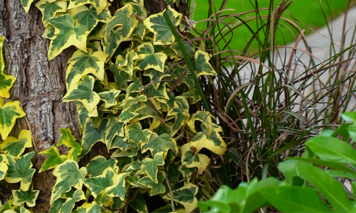 1763459589151620.png 上海瀛新园.png