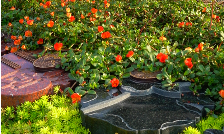 1763459985655400.png 上海瀛新园.png