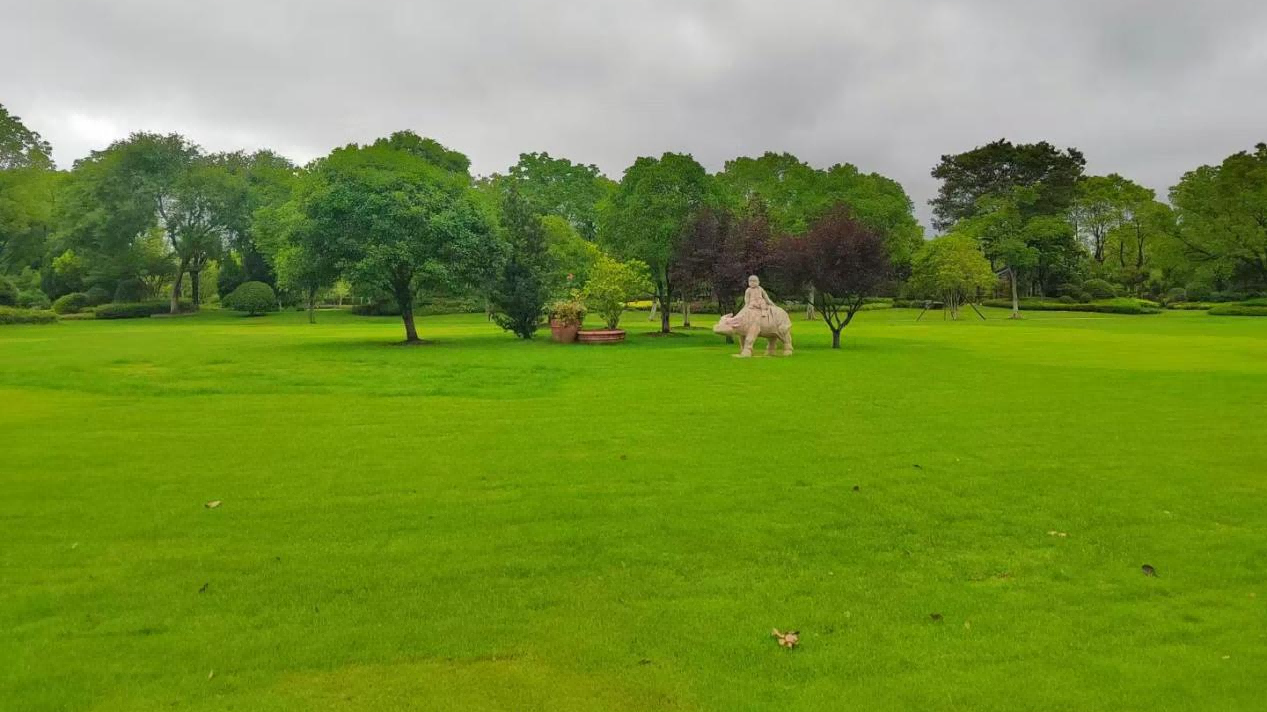 1763460093575817.png 上海公墓.png