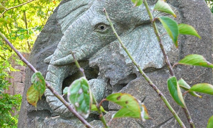 1763460177121355.png 上海公墓.png