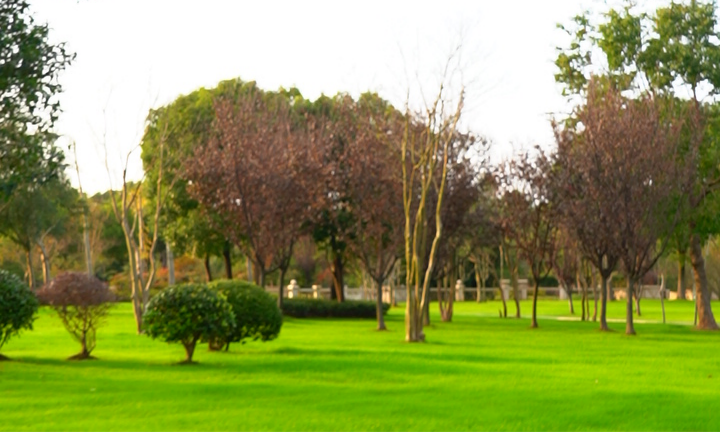 1764140134953555.png 如何挑选墓地.png