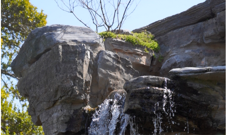 1765440442635981.png 如何挑选墓地.png