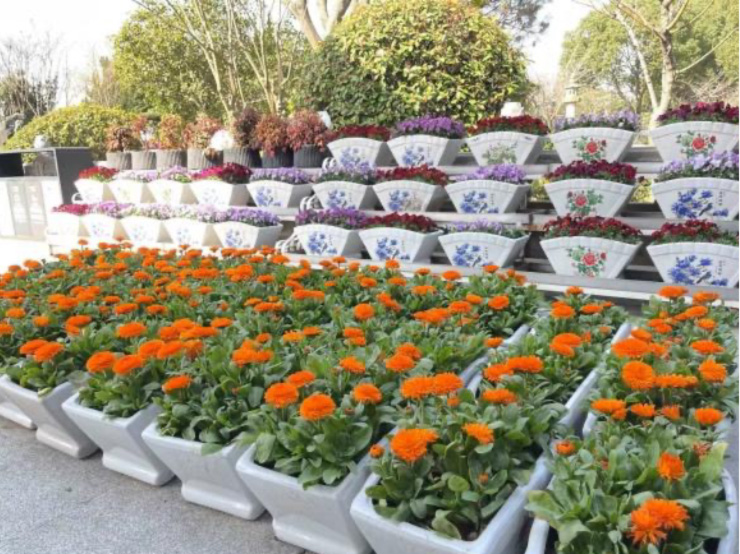 1765441905122792.png 瀛新园墓地.png