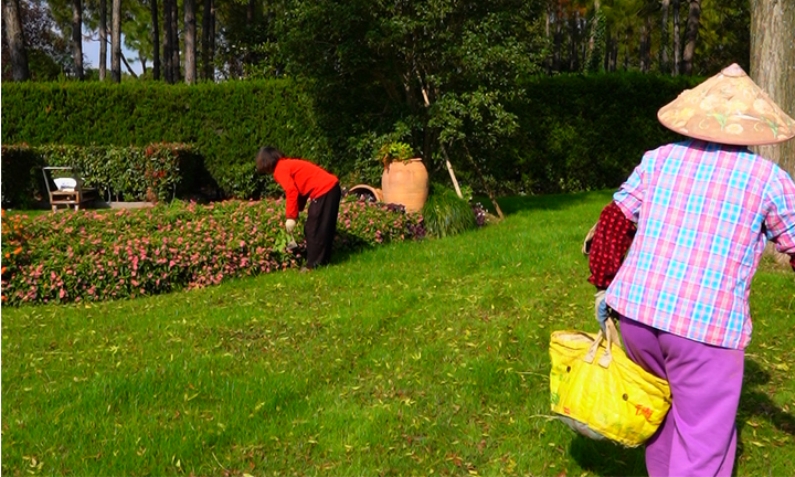 1765444028800920.png 植树葬.png